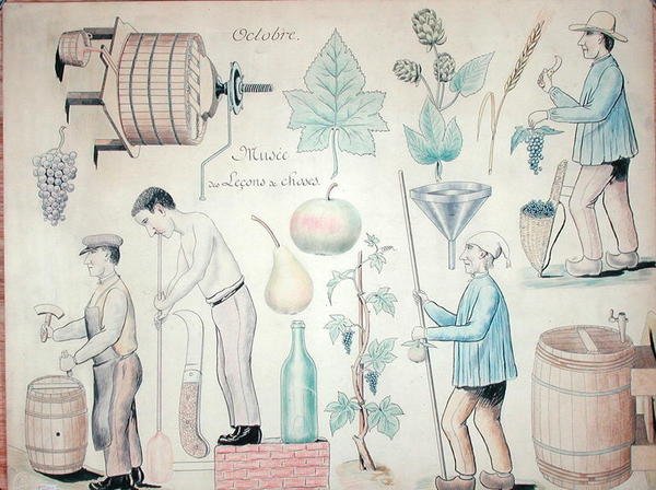 Oktober måned: Vinproduktion (pen & blæk og farveblyant på papir) af French School