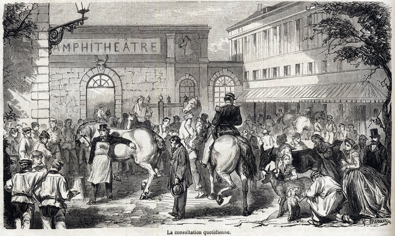 National Veterinary School of Alfort - Les grandes écoles de France - Veterinærskole i Maison Alfort i 1866 - Den daglige konsultation - Indgravering i "Le monde illustrious"" fra 1866 af French School