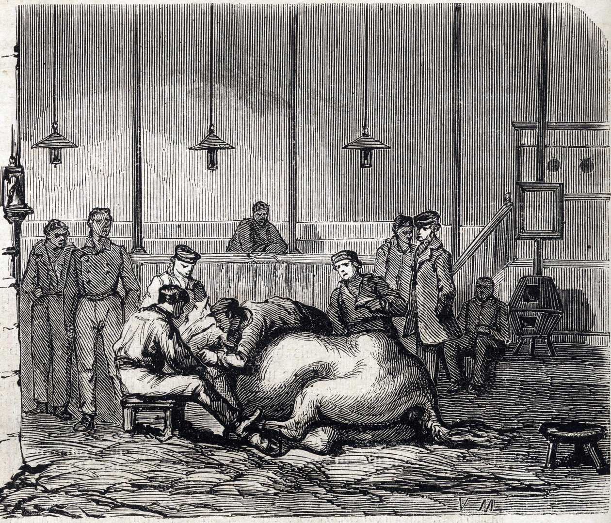 National Veterinary School of Alfort - Les grandes écoles de France - Veterinærskole i Maison Alfort i 1866 - Dissektionsrummet - Indgravering i "Le monde illustrious"" fra 1866 af French School