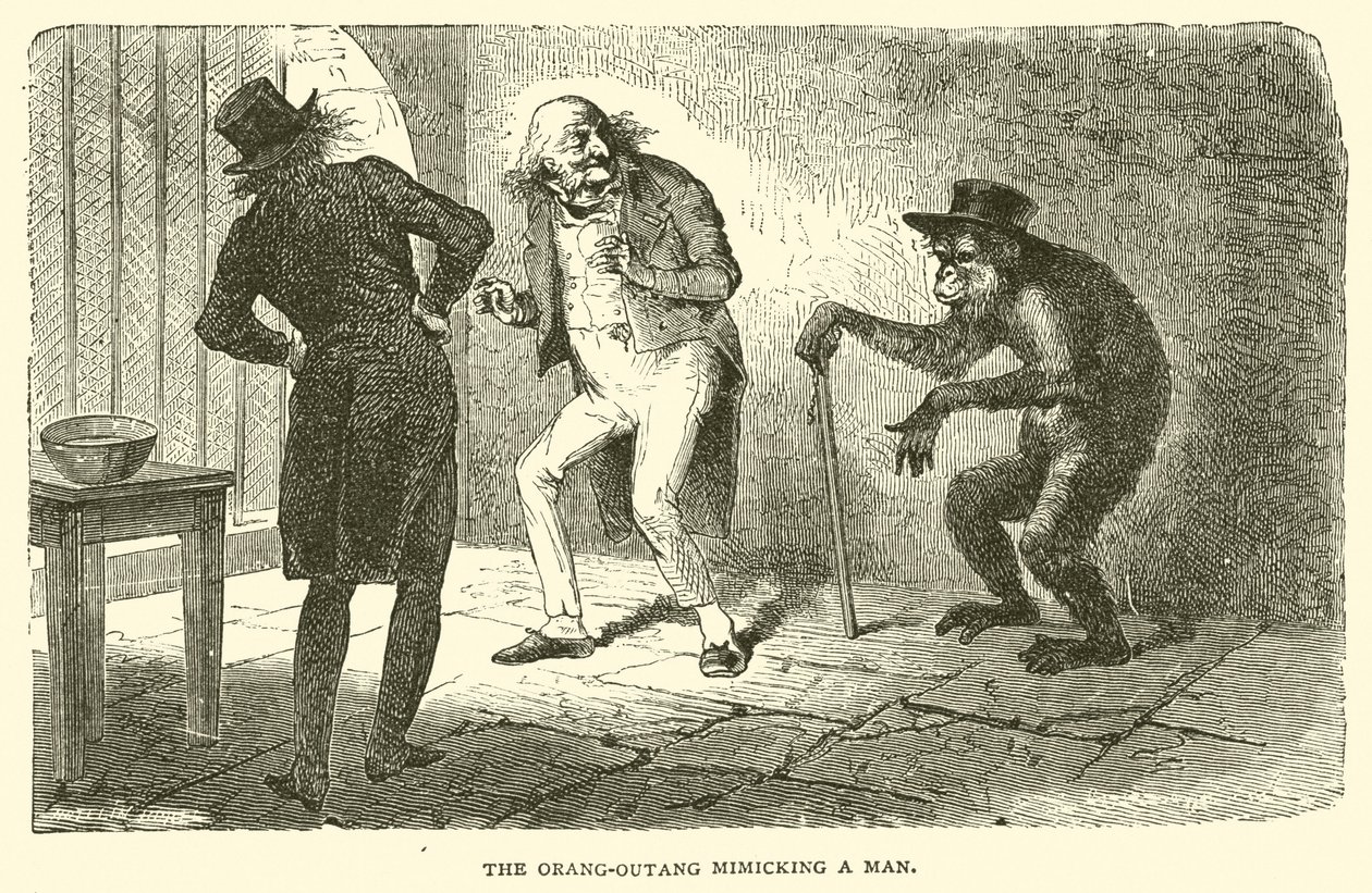 Orang-Outang, der efterligner en mand (kobberstik) af French School