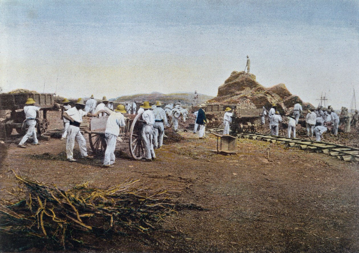 Fangerne på arbejde ved straffekolonien Noumea i Ny Kaledonien, indgraveret af Gillot, ca. 1900 af French School