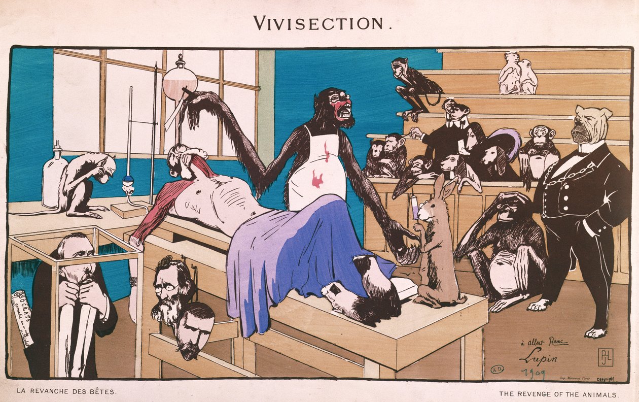 Dyrenes hævn, karikatur af vivisektion, 1909 af French School