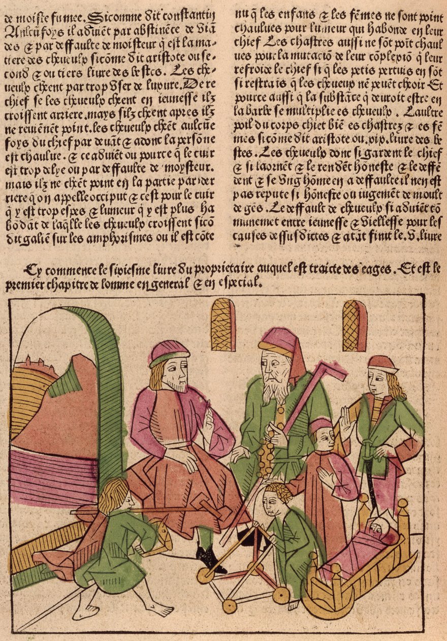 Livets stadier, fra Le Livre des Proprietes des Choses af Barthelemy langlais, 1485 (farvetræsnit) af French School