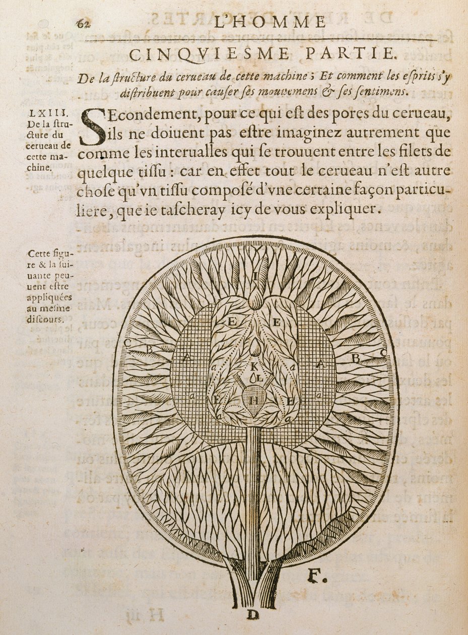 The Structure of the Brain, fra De Homine Figuris af Rene Descartes (1596-1650) udgivet i Haag, 1662 af French School