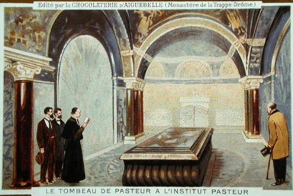 Louis Pasteurs grav (1822-95) i l