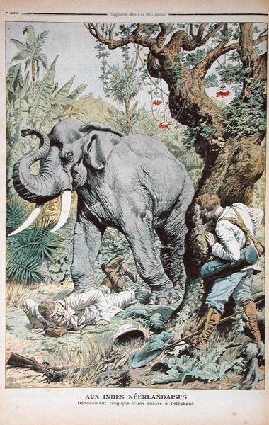 The Tragic End of an Elephant Hunt in India, illustration fra Le Petit Journal, 25. november 1906 af French School