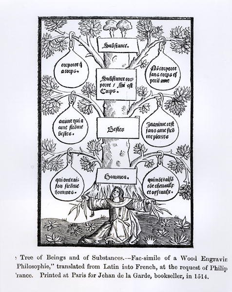 The Tree of Beings and Substance, trykt i 1514, illustration fra Science and Literature in The Middle Age and Renaissance, skrevet og indgraveret af Paul Lacroix, 1878 af French School
