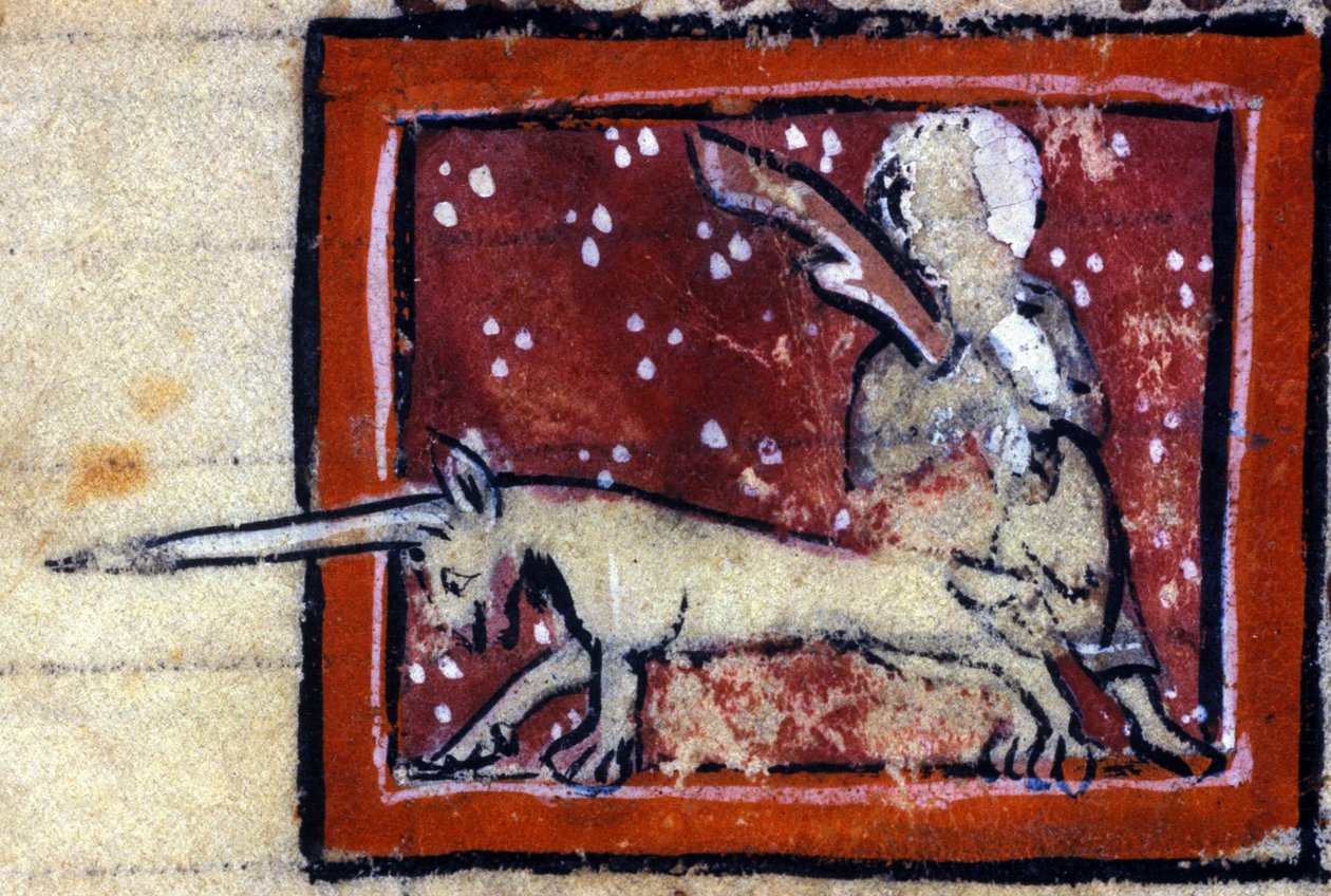 The Virgin and Unicorn (Unicorn) - Fransk bestiary i det 14. århundrede. Milan, Biblioteca trivulziana. af French School