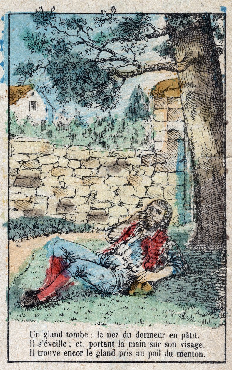 Agernet og græskarret. Fabler af Jean de La Fontaine (1621-95). Billedbillede af Epinal fra slutningen af det 19. århundrede. af French School