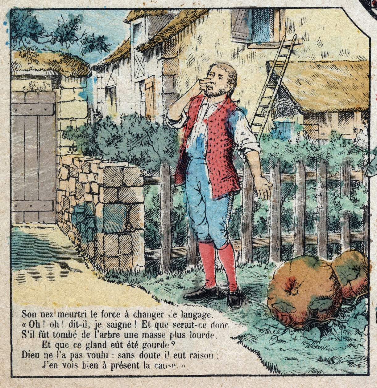 Agernet og græskarret. Fabler af Jean de La Fontaine (1621-95). Billedbillede af Epinal fra slutningen af det 19. århundrede. af French School