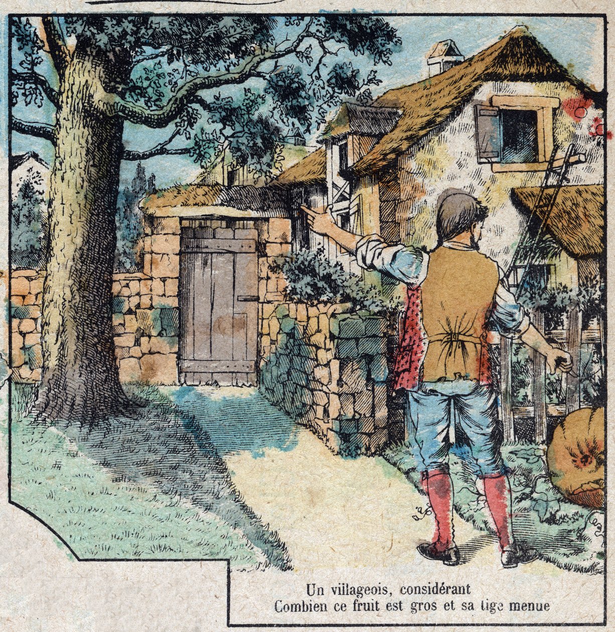 Agernet og græskarret. Fabler af Jean de La Fontaine (1621-95). Billedbillede af Epinal fra slutningen af det 19. århundrede. af French School