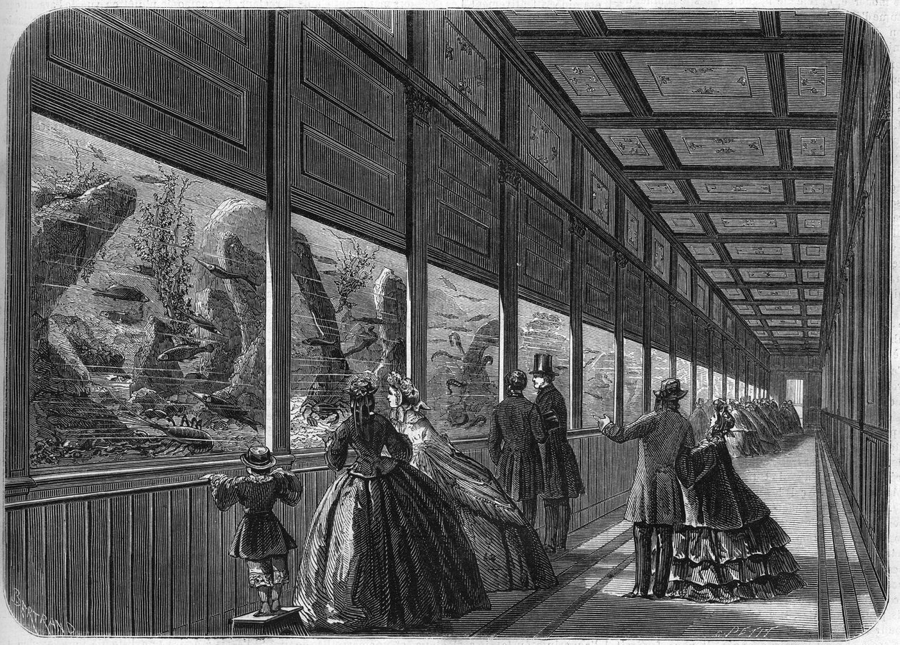 Akvariet i Paris akklimatiseringshaven i 1863. af French School