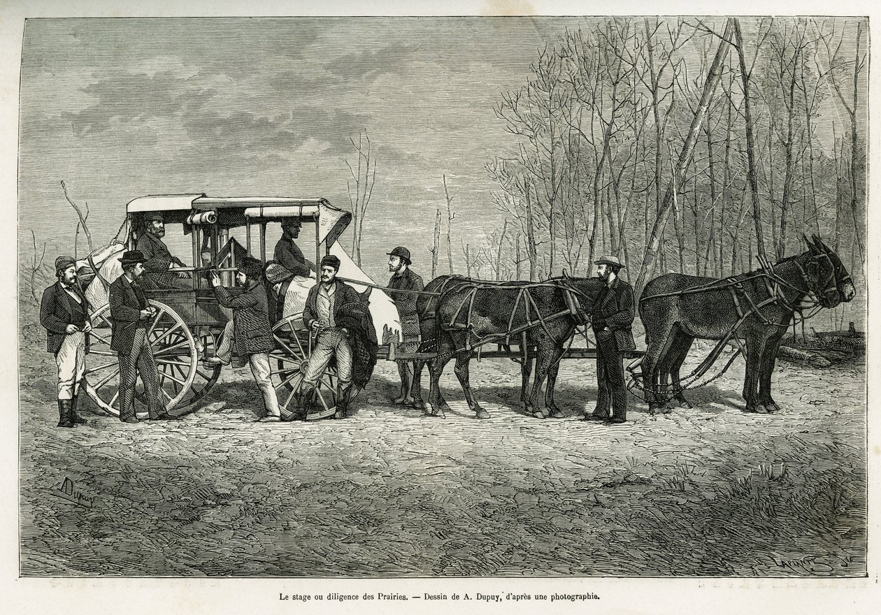 Kurset eller flid på præriernes hest, tegning af A.Dupuis, for at illustrere historien om en udflugt til Canada og den nordlige røde flod, i 1873, af H. de Lamotte. Indgravering i Le tour du monde af French School