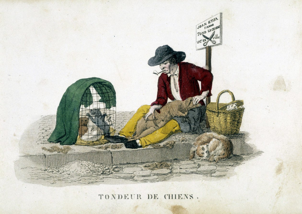 Hundeplæneklipperen af French School
