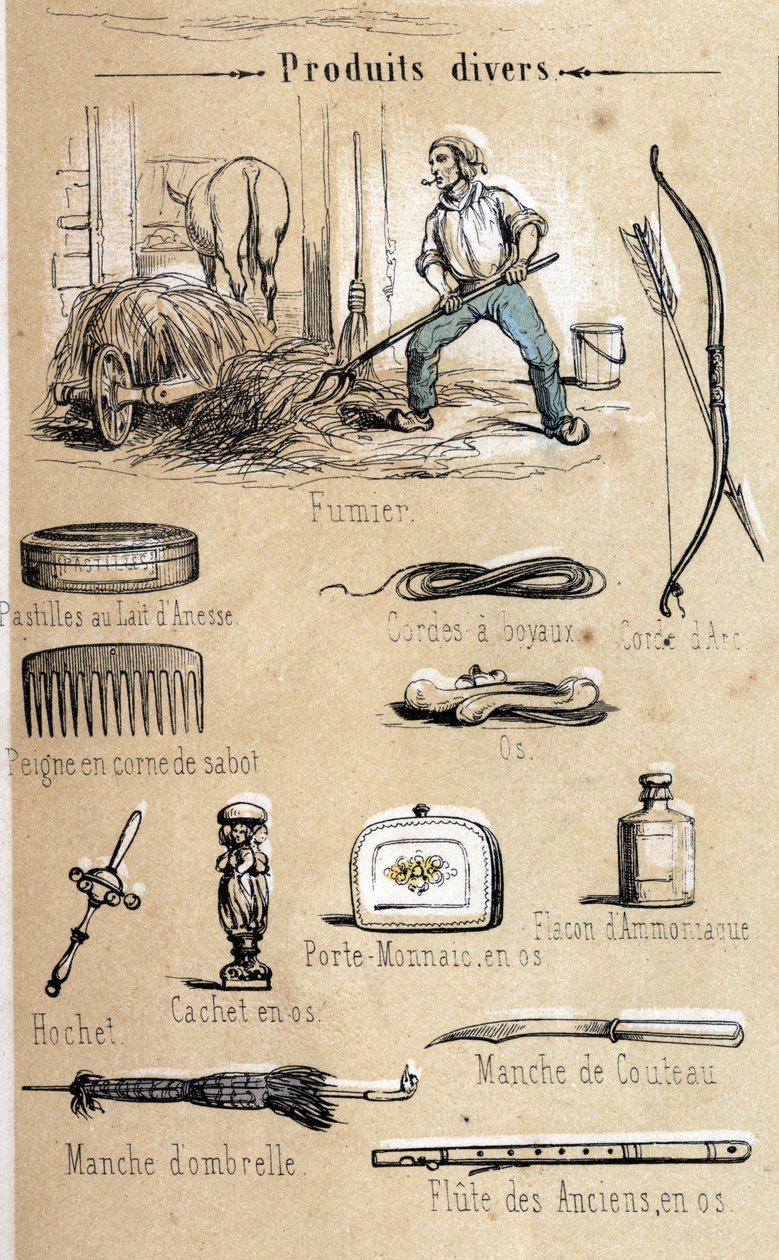 Æslet og dets produkter indgraveret fra 1860 i "" de instruktive Recreations"" Synoptisk maleri af Jules DELBRUCK. Privat samling. af French School