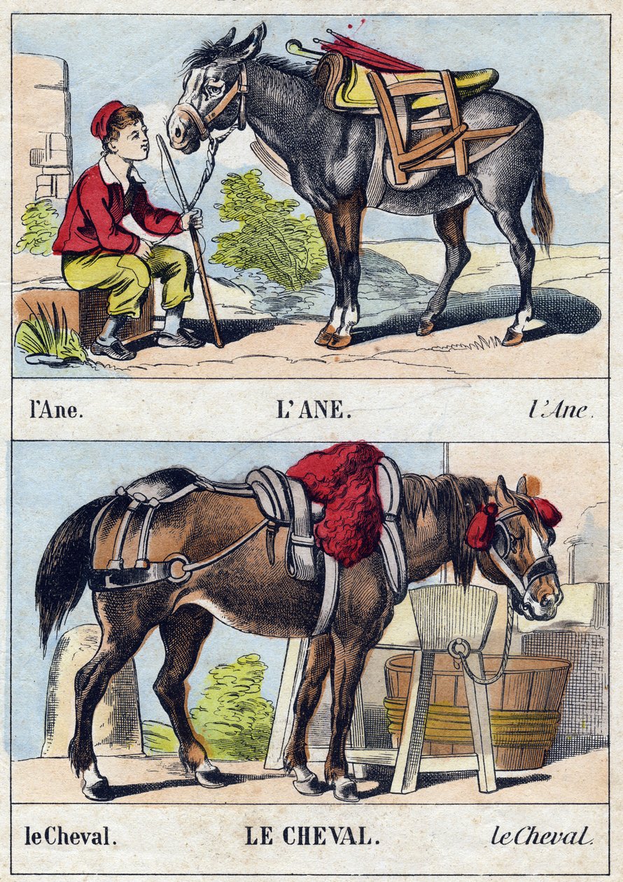 Æslet og hesten. Indgravering i "Buffon Alphabet des Animaux". 3. serie N 1. Billeddannelse af Epinal, Epinal, slutningen af 1800-tallet. 16 sider. Mål: 28x21cm af French School