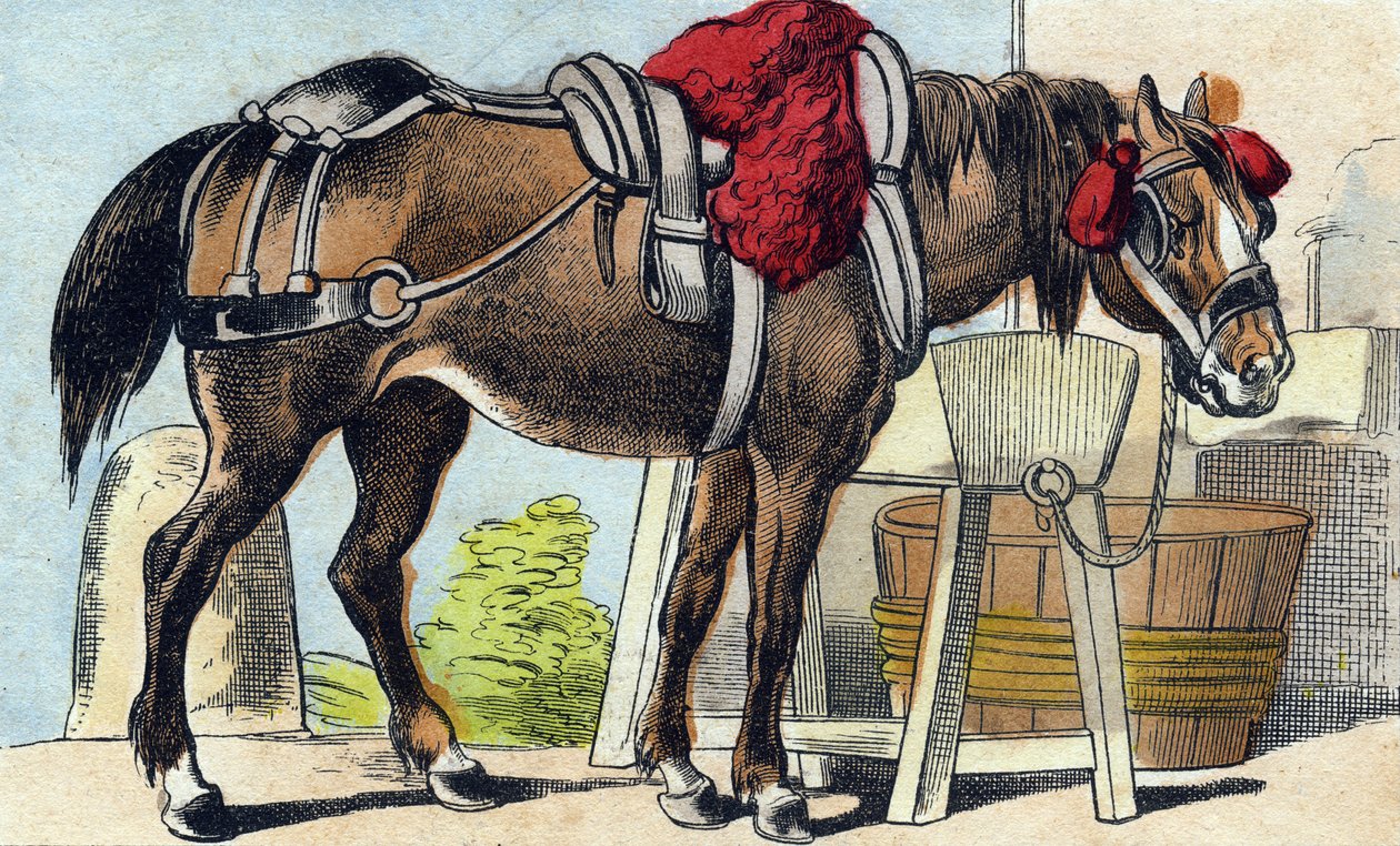 Hesten. Indgravering i "Buffon Alphabet des Animaux". 3. serie N 1. Billeddannelse af Epinal, Epinal, slutningen af 1800-tallet. 16 sider. Mål: 28x21cm af French School
