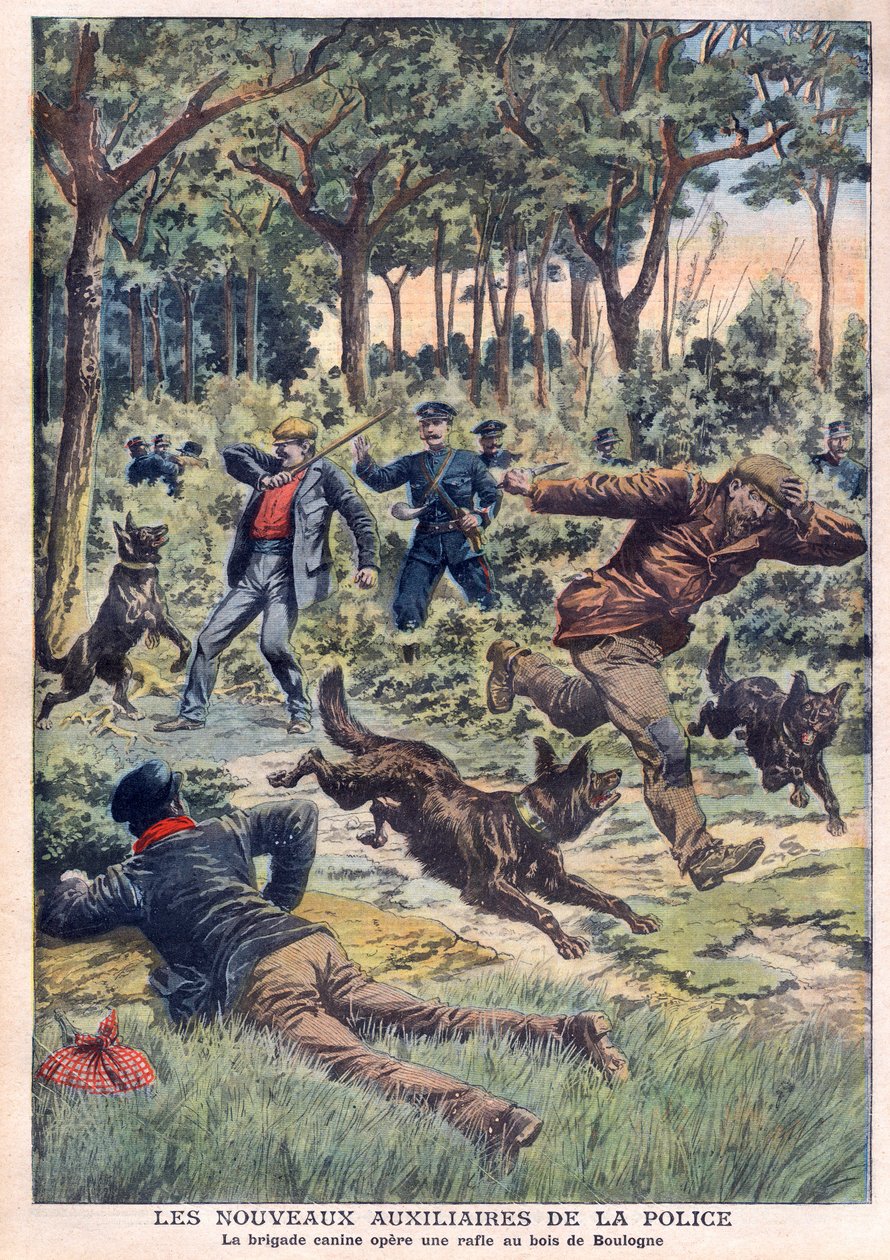 De nye politiassistenter: hundebrigaden foretager en roundup ved Bois de Boulogne, illustration fra "Le Petit Journal" af 28. juli af French School