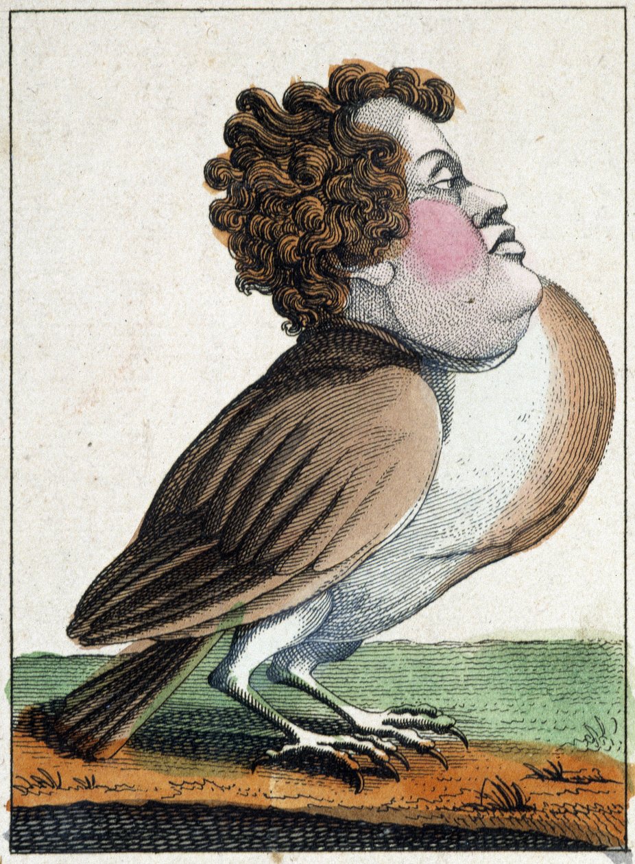 Duen i karikatur, studie af karakter "flygtig karakter" sd. 19., populært billedsprog. af French School