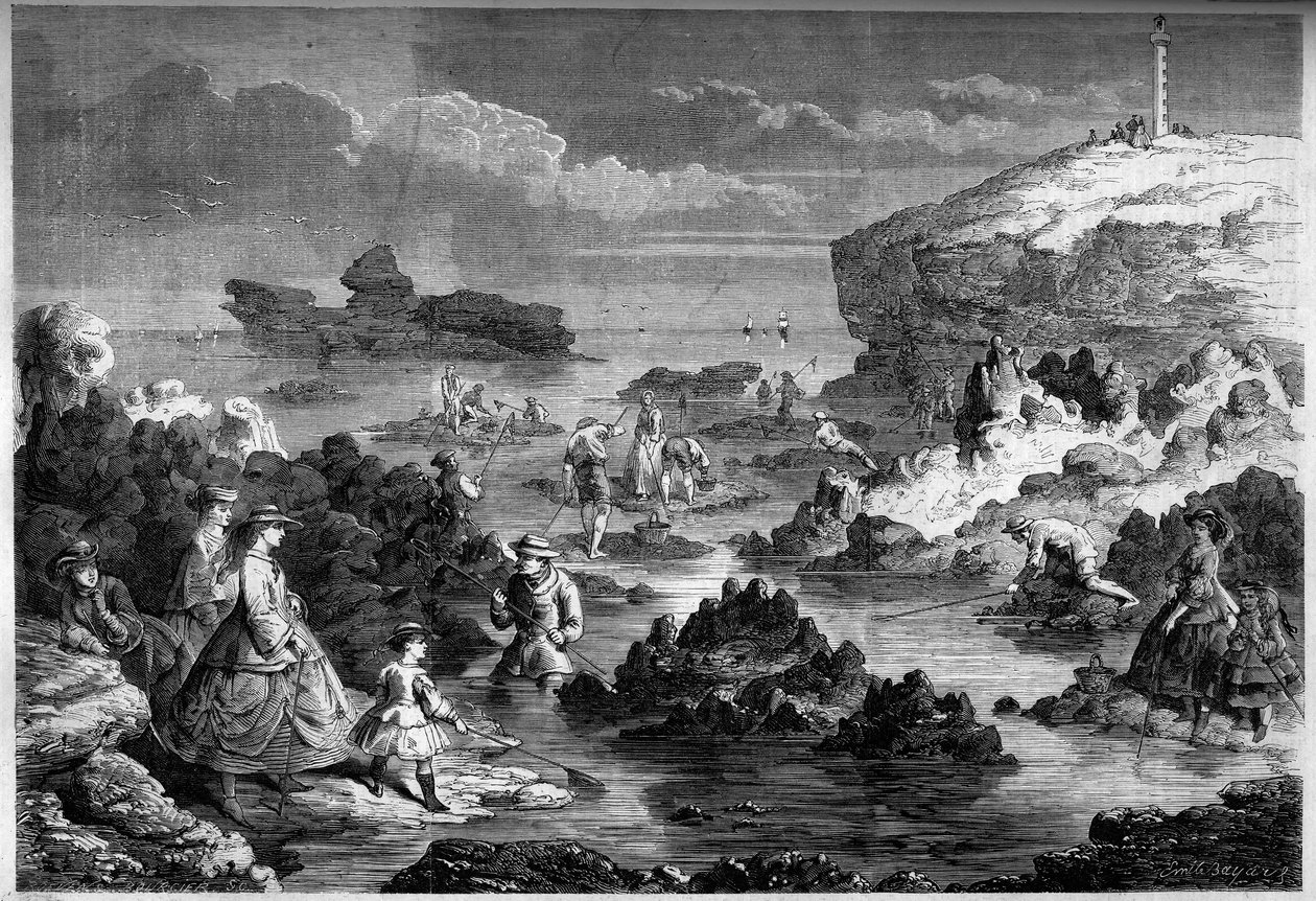 Rejefiskeriet ved Biarritz, Pyrenæerne (64) af French School