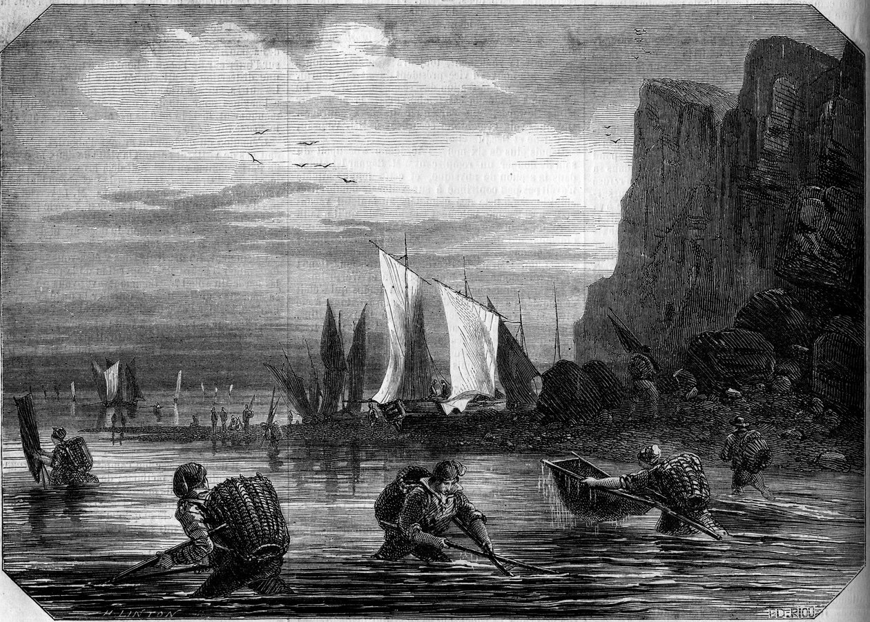 Rejefiskeriet i nærheden af Le Havre, Seine Maritime (76) af French School
