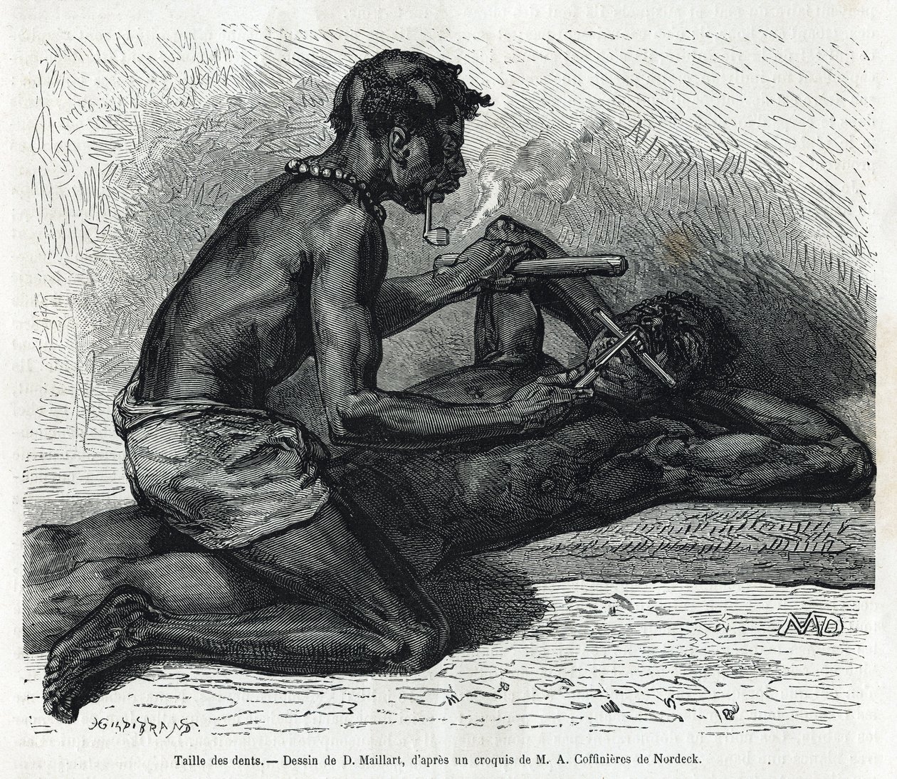 Størrelsen på tænderne i Okanda, tegning af D. Maillard, for at illustrere historien om en tur til Gabon og Ogoue-floden i 1875-1877 af Alfred Marche. Indgravering i Le tour du monde af French School