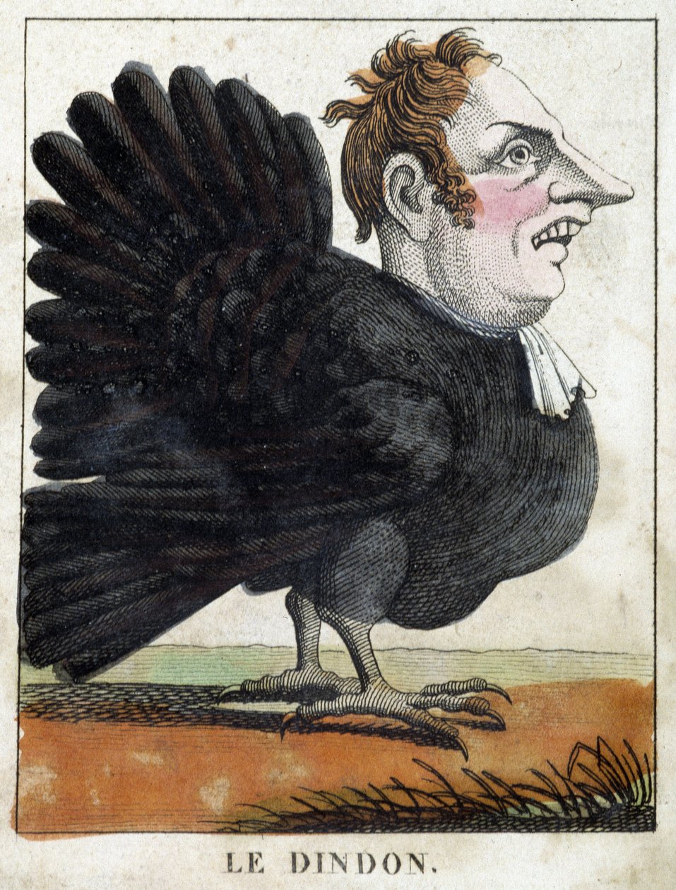 Kalkunen i karikatur, studie af karakter "flygtig karakter" sd. 19., populært billedsprog. af French School