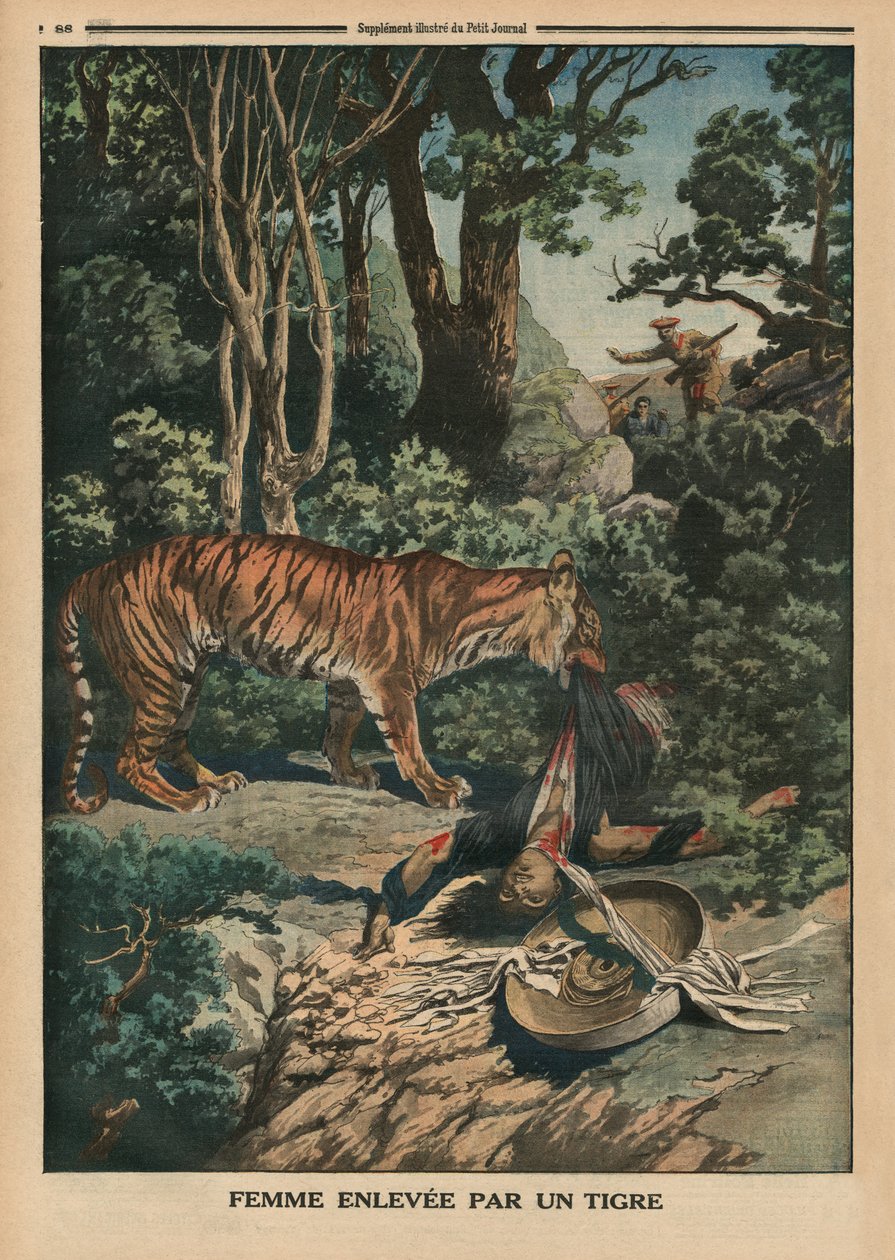 Tiger angriber en kvinde, bagsideillustration fra 