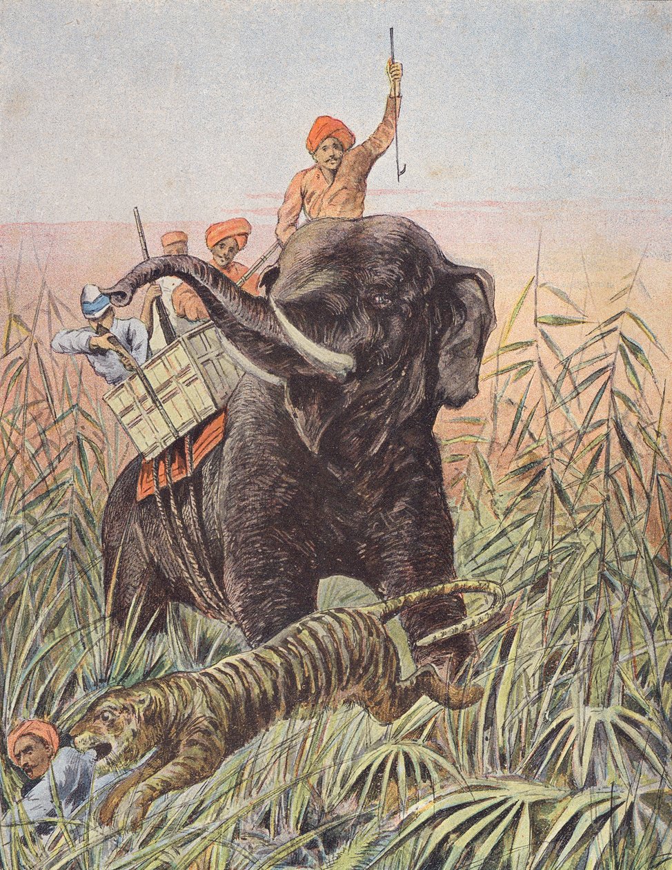 Tigerjagt, Indien (farvelitografi) af French School
