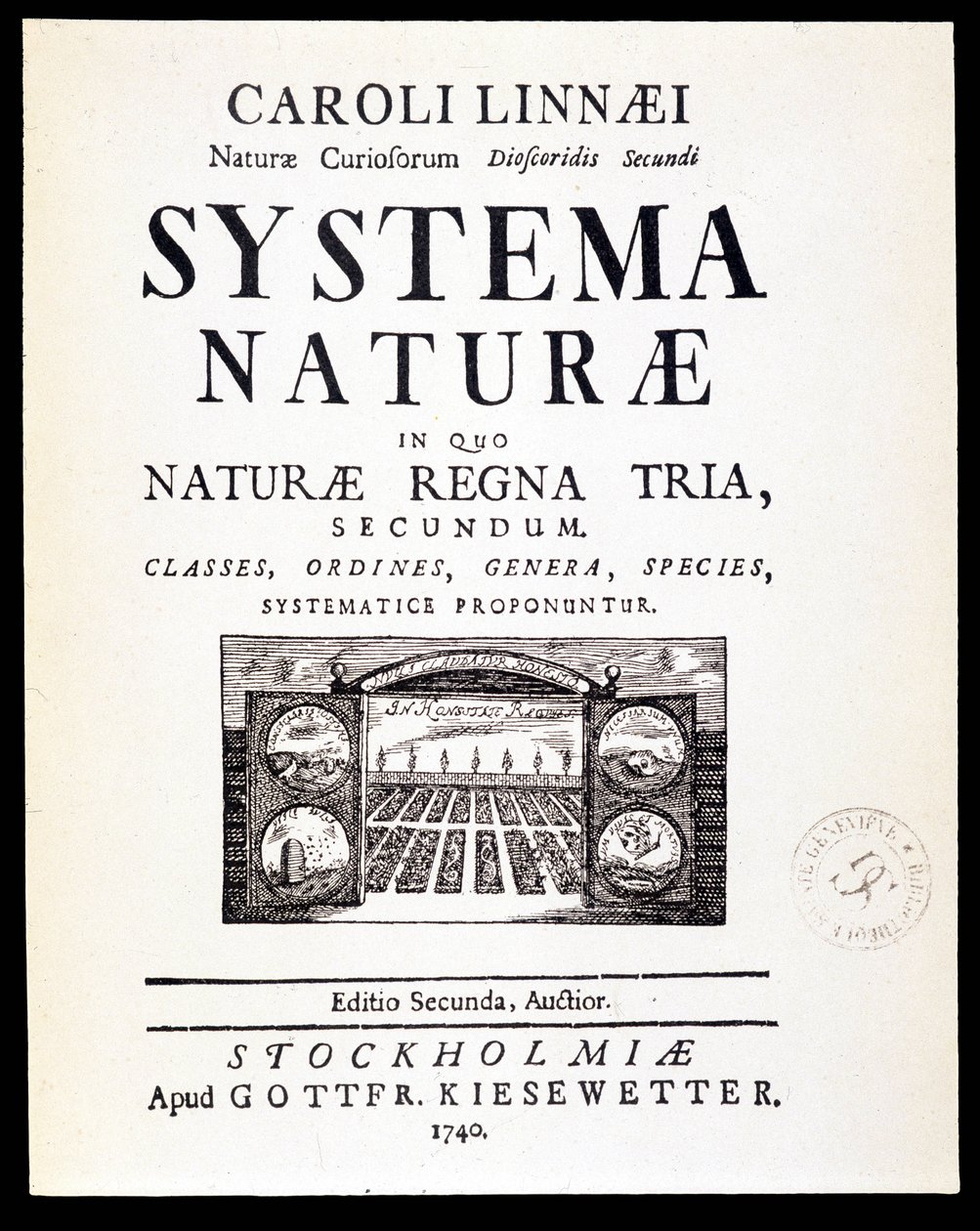 Titelblad "" Naturlige systemer"" af Linnaeus af French School