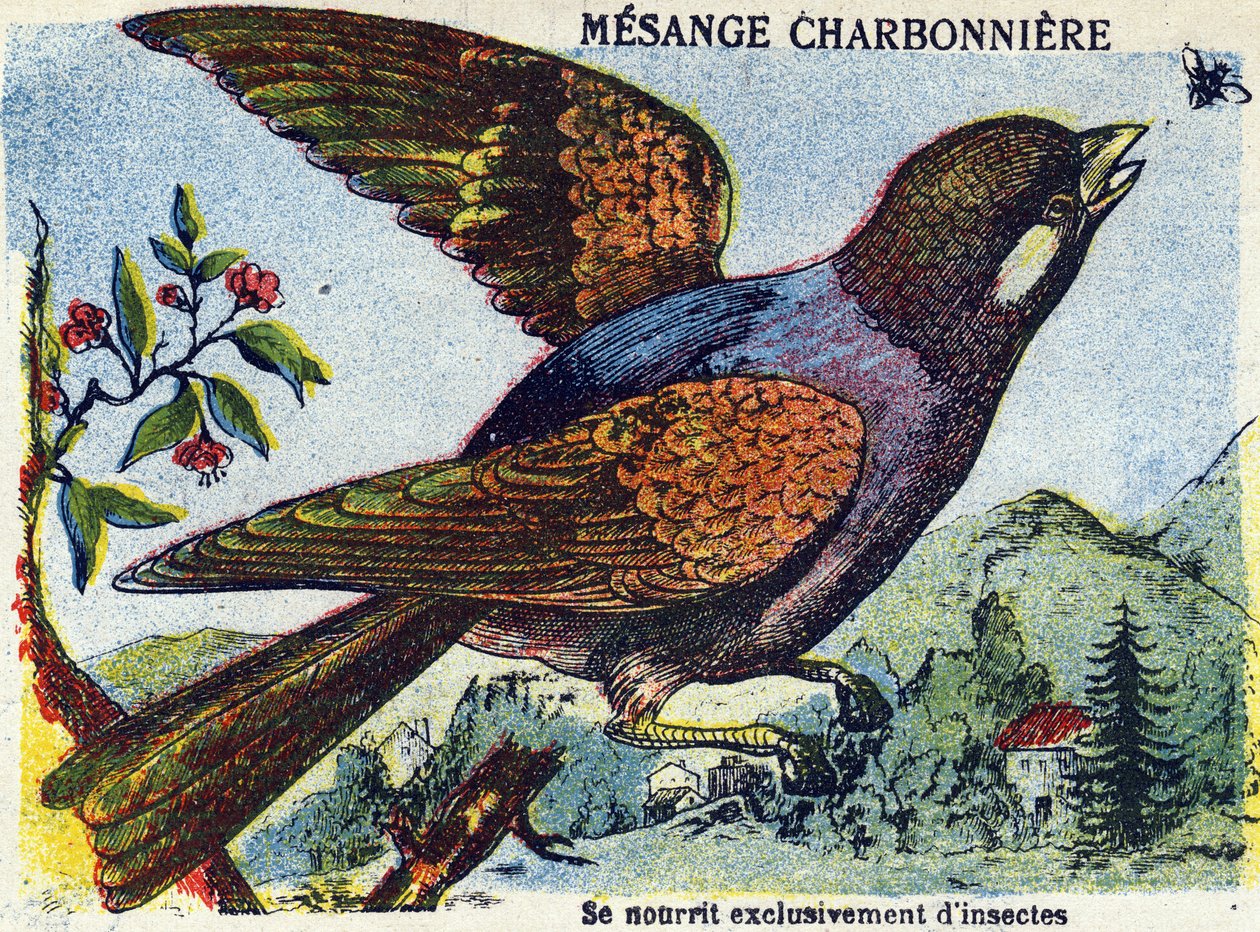 Unknown image dani af French School