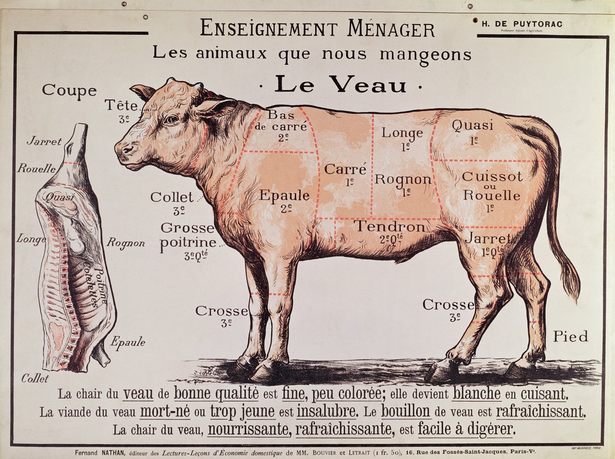 Kalvekød: diagram, der viser de forskellige udskæringer af kød af French School