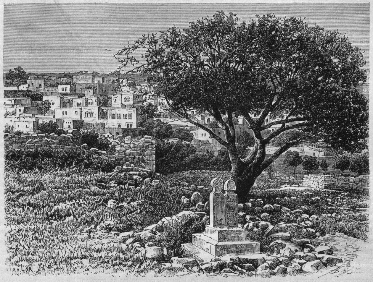 Udsigt over Safed, fra Syrien i dag. Rejser i Fønikien, Libanon og Judæa. 1875-1880 af Louis Charles Emile Lortet, 1884 (bw gravering) af French School