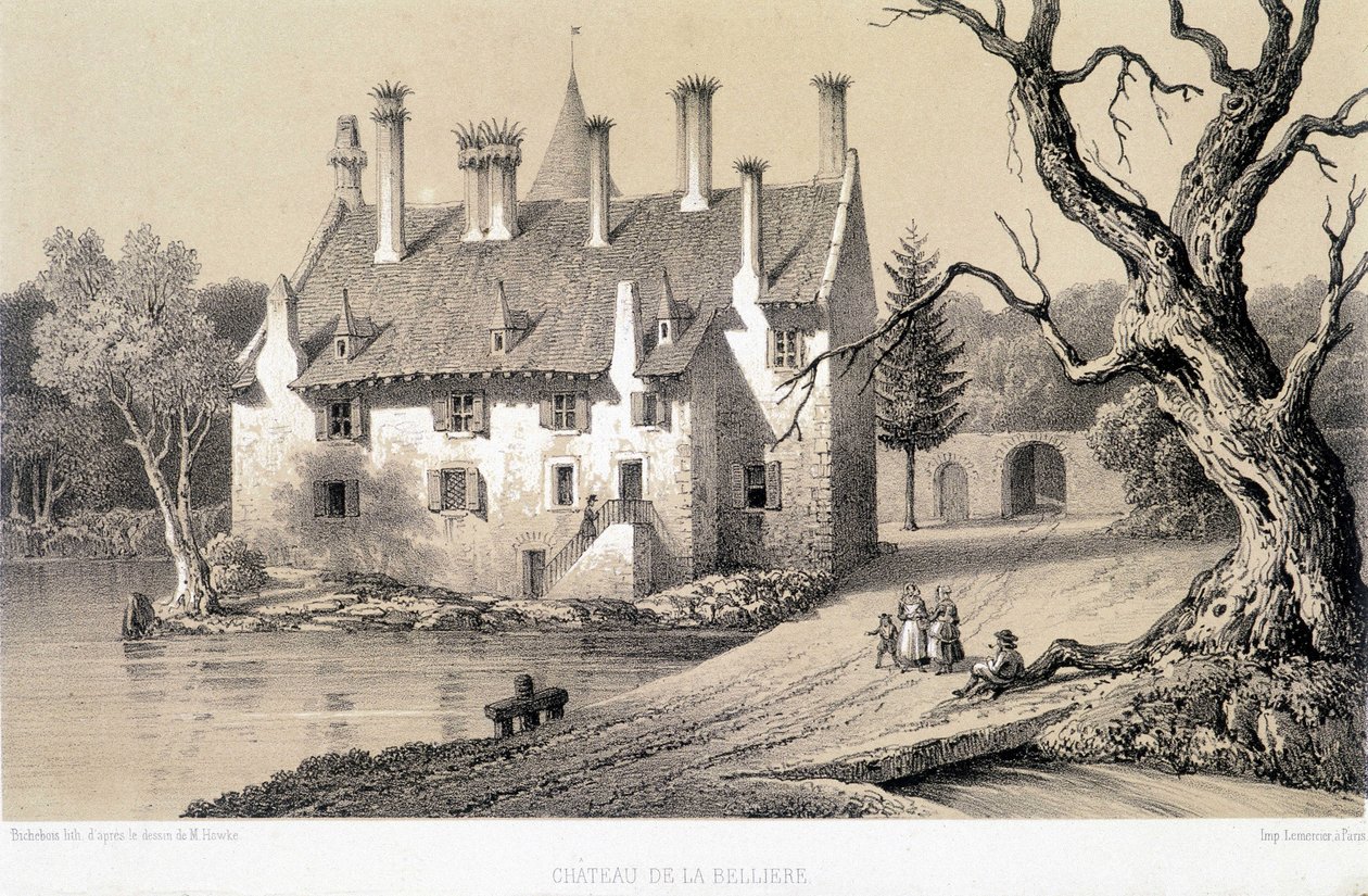 Udsigt over Chateau de la Belliere (Cote d