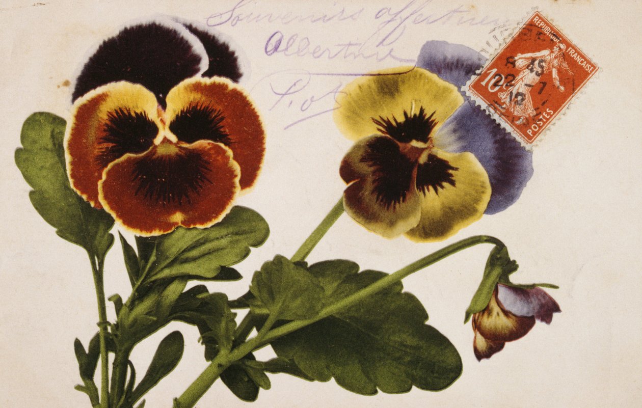 Fransk vintage-postkort med blomsterdekorationer af French School