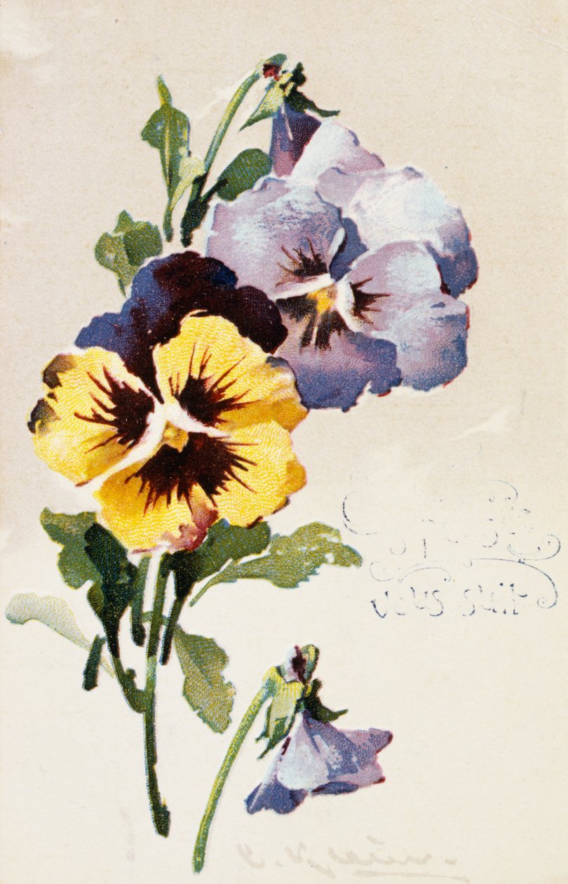 Fransk vintage-postkort med blomsterdekorationer af French School