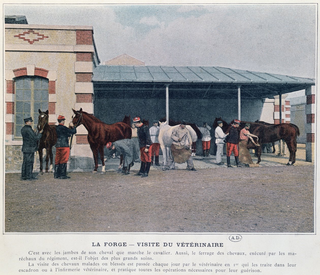 Besøg af hærdyrlægen på kasernen, 1897 (farve litho, efter et farvet foto) af French School