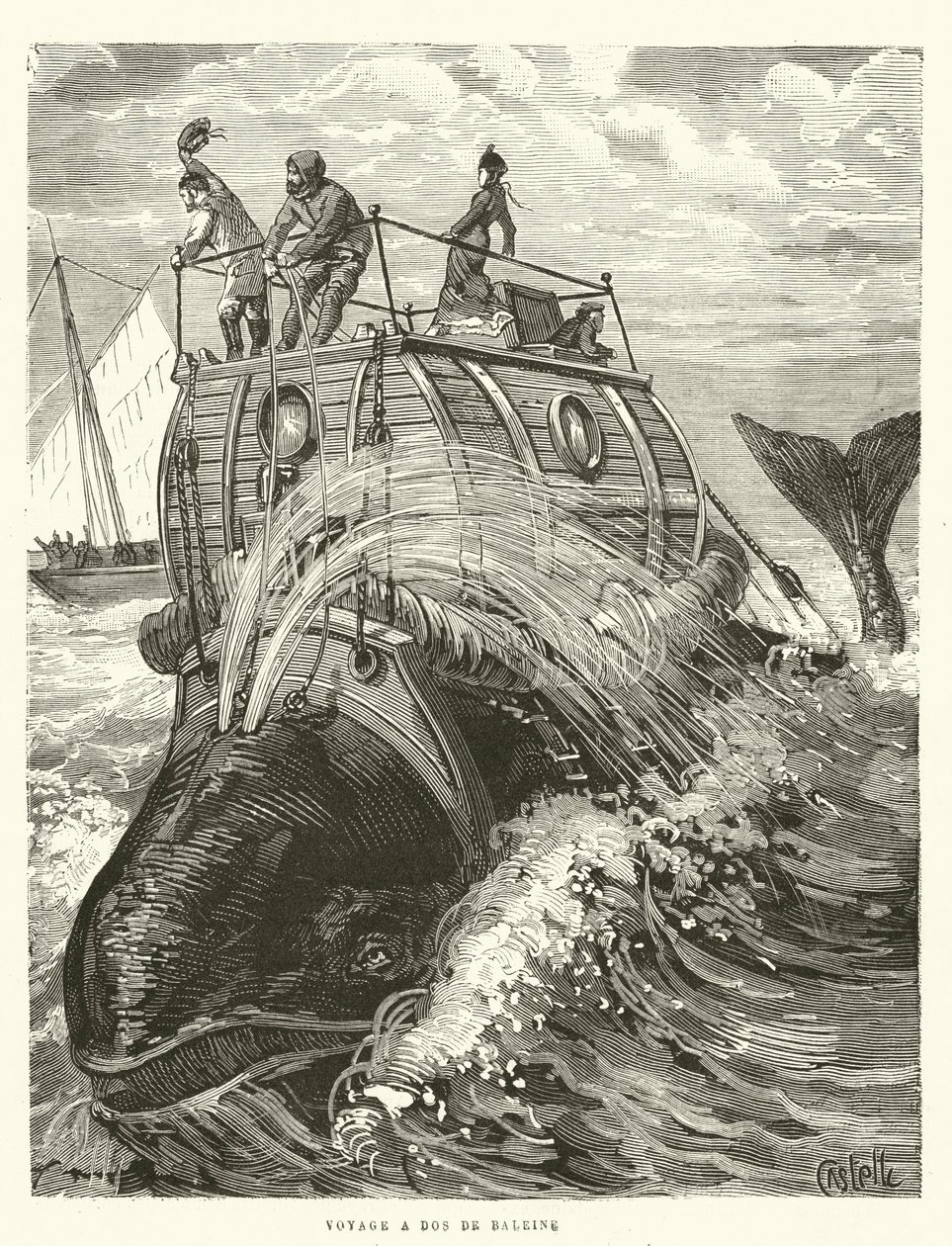 Voyage a Dos de Baleine (stik) af French School