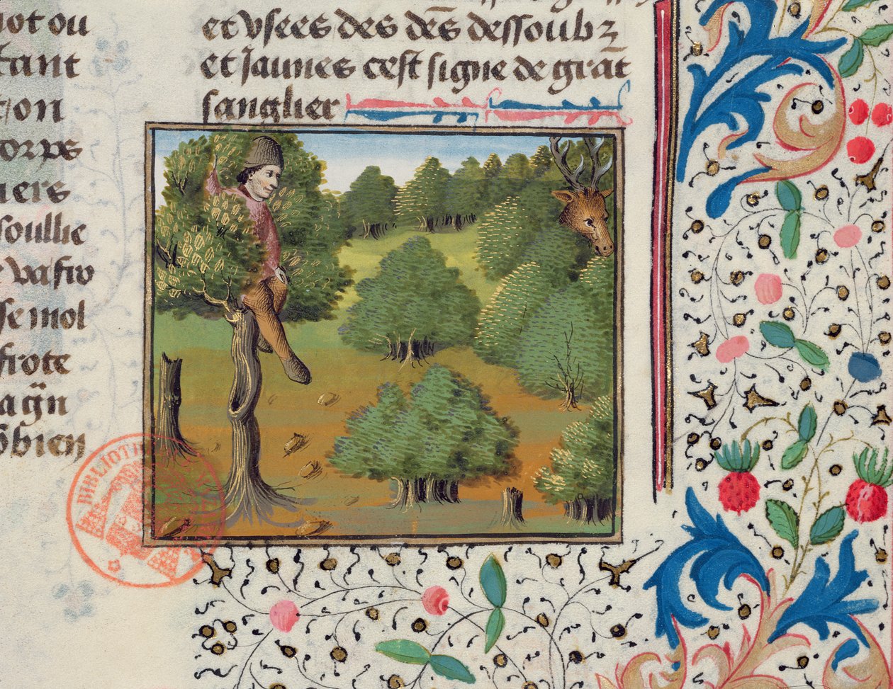 Venter på hjorte, der gemmer sig i et træ, fra Livre de la Chasse af Gaston Phebus af French School