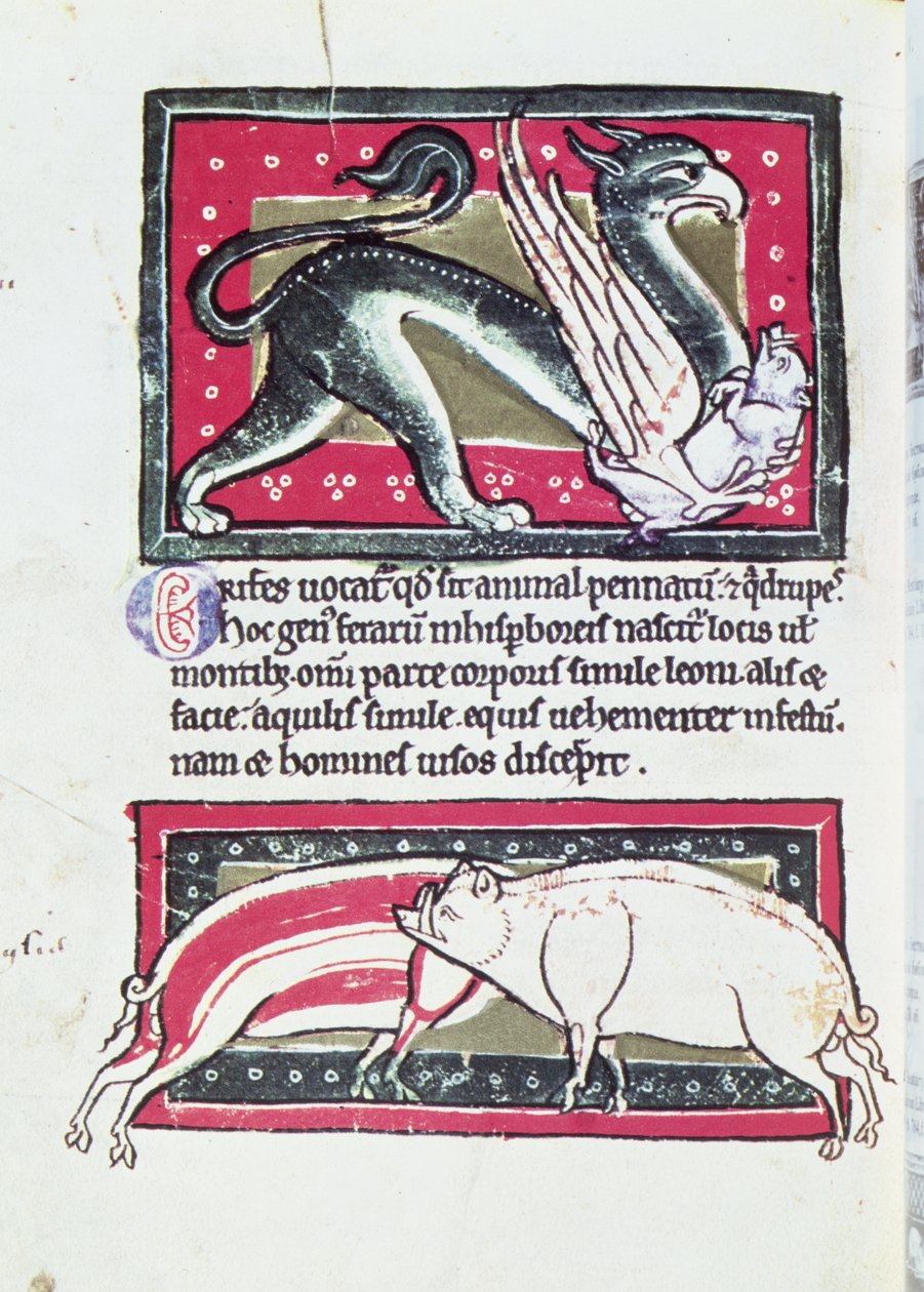 Vildsvin og Griffon, miniature fra Saltykowchsh Edrin Bestiary af French School