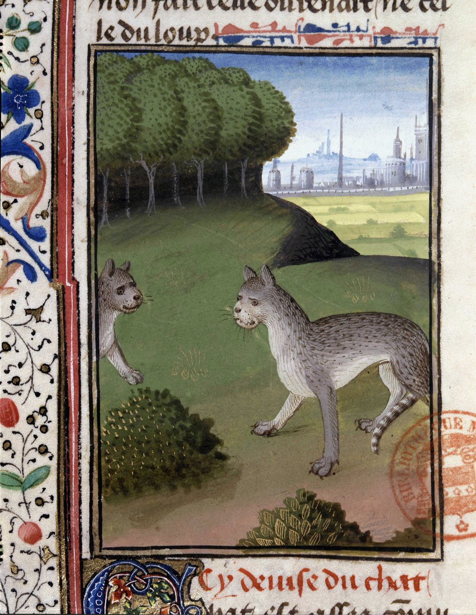 Vilde katte - i "" Jagtbog af Gaston Phoebus, greve af Foix, Lord of Bearn"" af French School