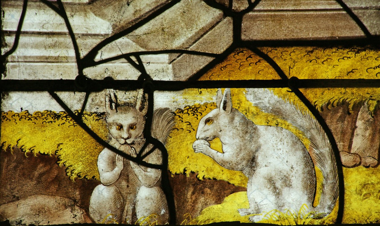 Vindue, der forestiller egern i bunden af vinduet med kejser AuguSaintus
