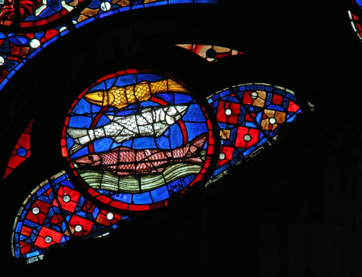 Vindue w115, der viser skabelsen af fisk af French School
