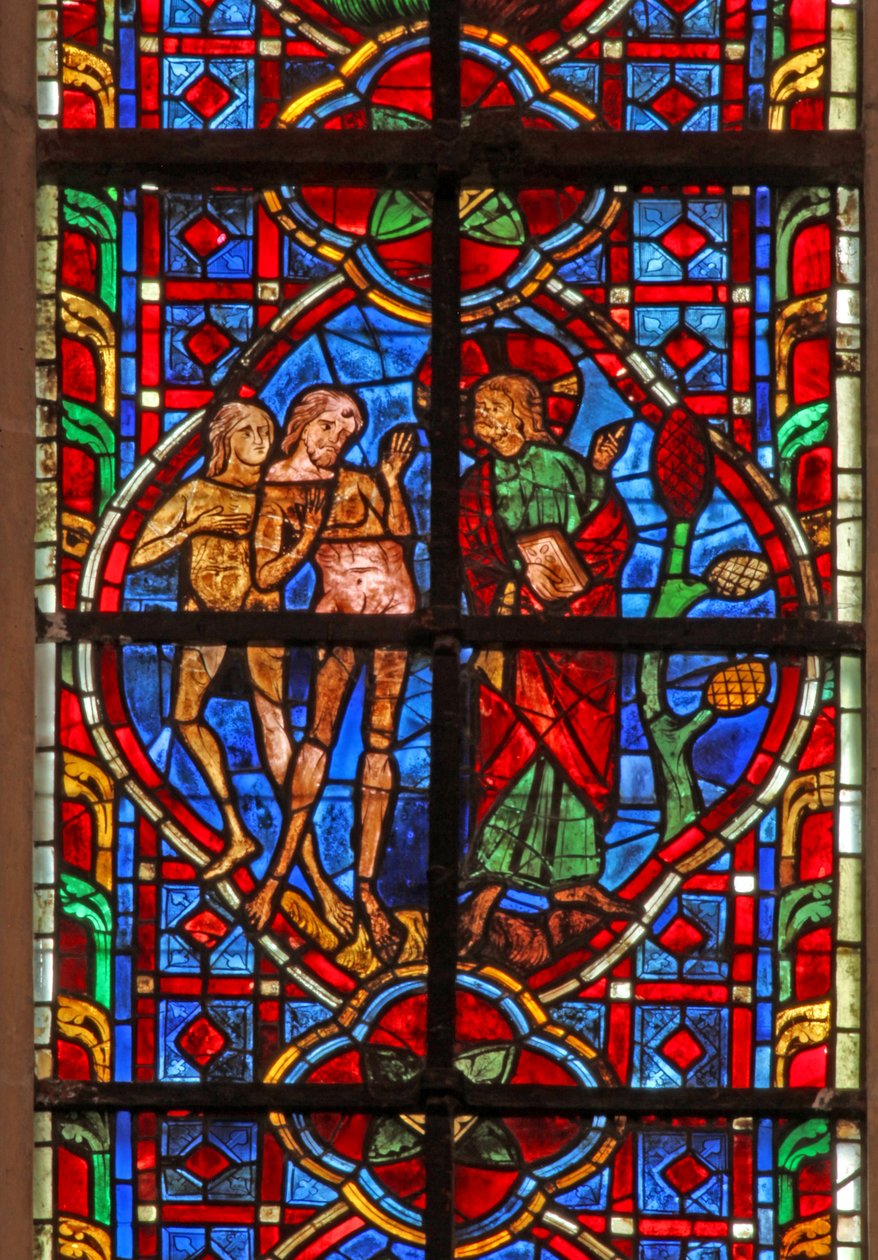 Vindue w207, der viser Adam, der blev bedt om ikke at spise fra Kundskabens Træ af French School