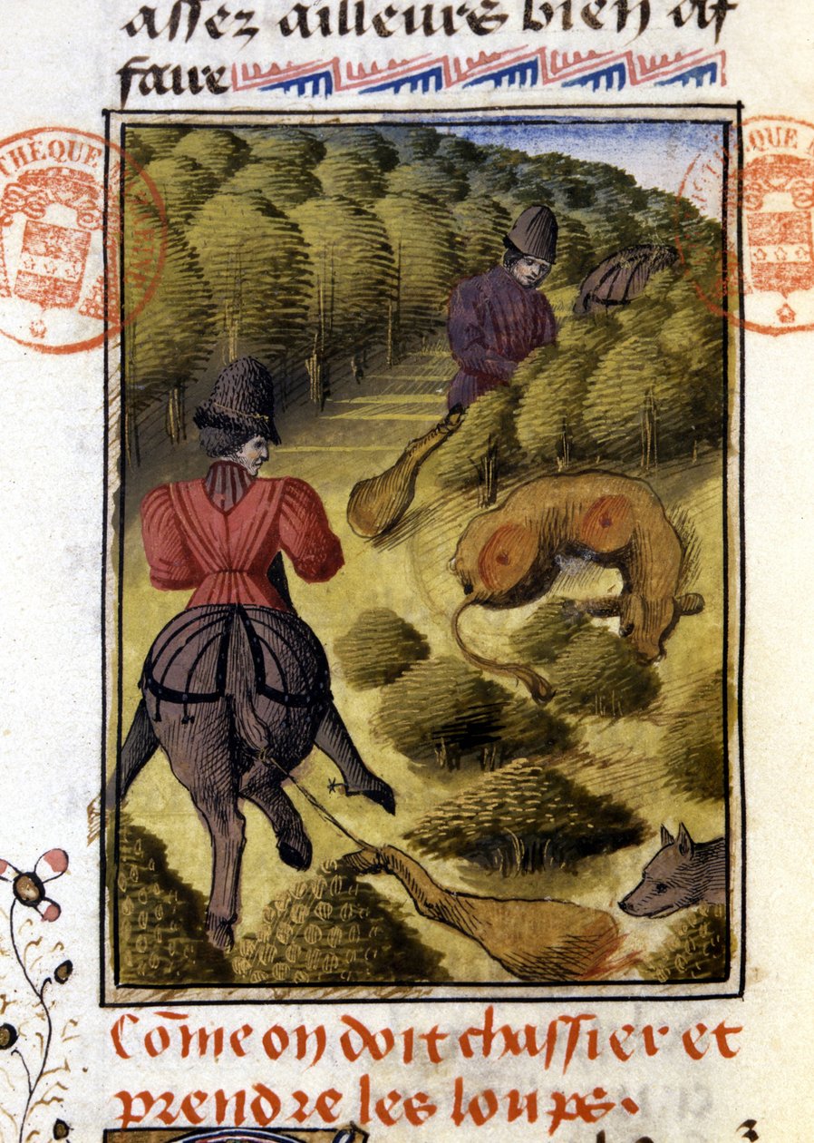 Ulvejagt- i "" Jagtbog af Gaston Phoebus, greve af Foix, Lord of Béarn"" af French School