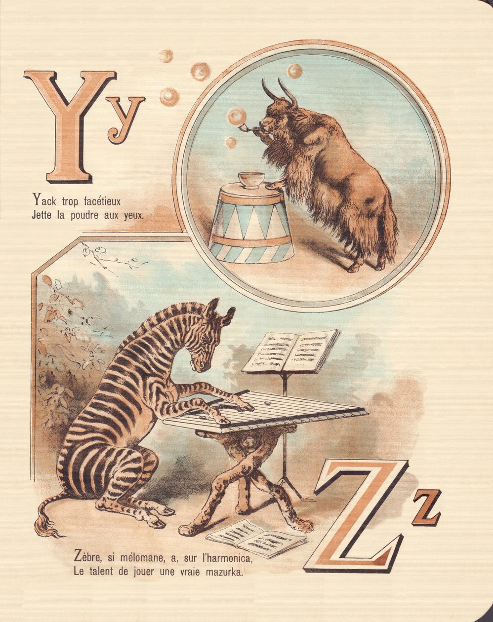 Og C: Ligesom, Zebra af French School