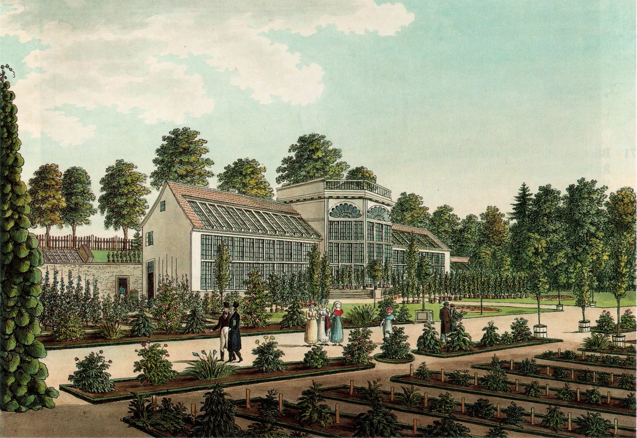 Drivhus i den gamle botaniske have i Göttingen, i baggrunden bymuren. Farvet ætsning af Friedrich Besemann
