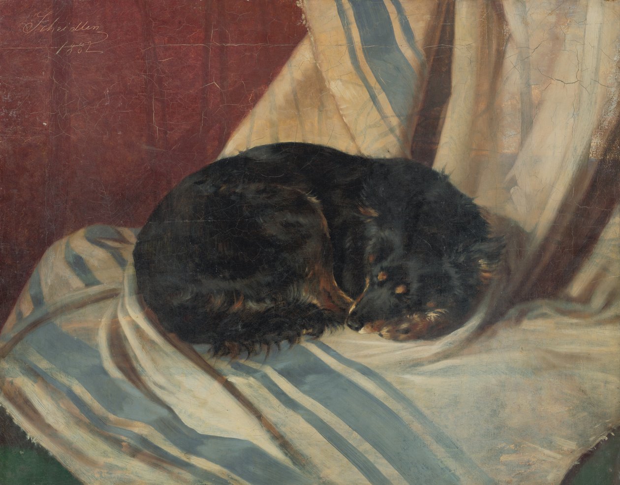 Undersøgelse af en hund, der ligger af Friedrich Carl von Scheidlin