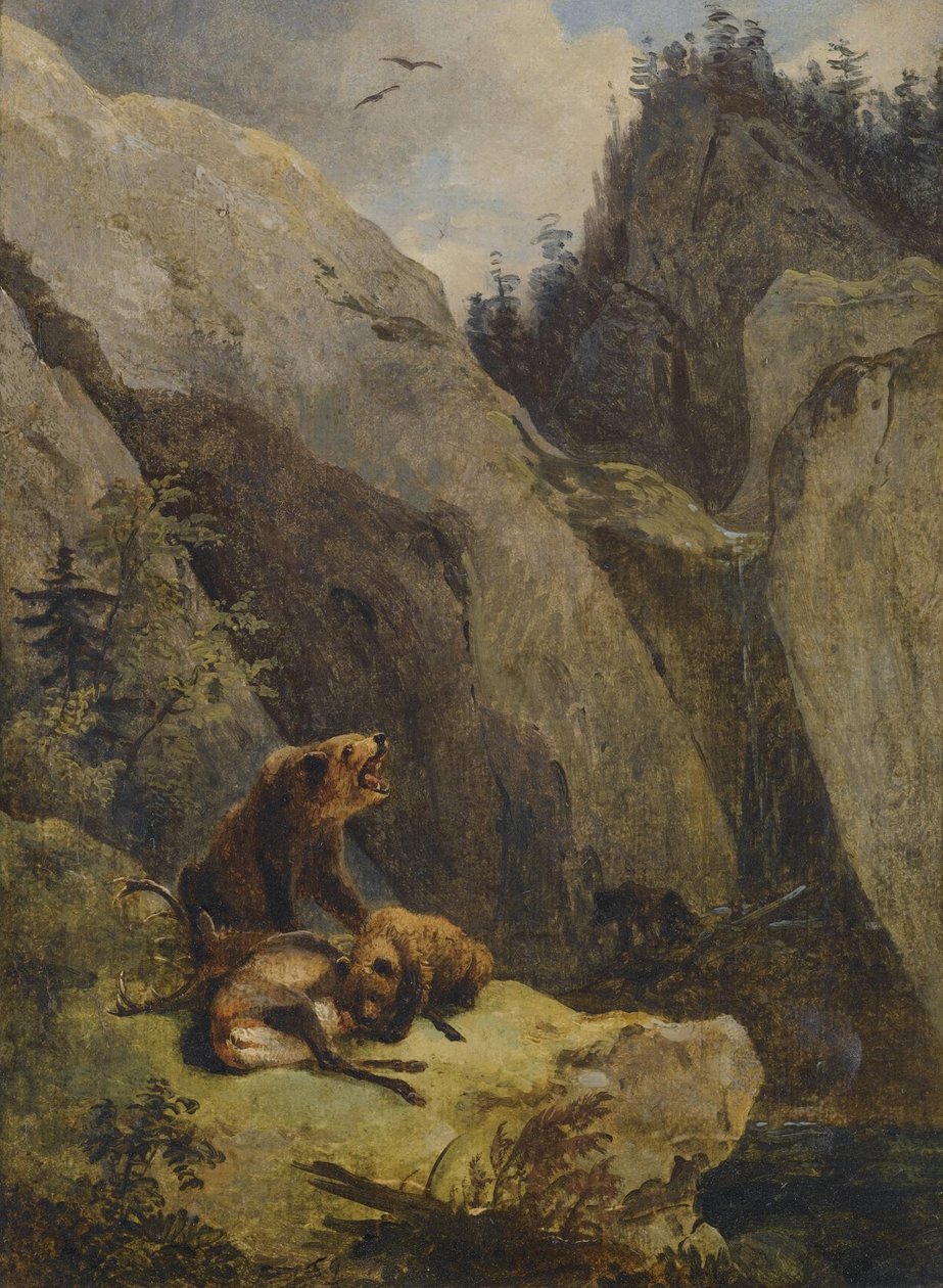 Bjørne skar et rådyr op af Friedrich Gauermann