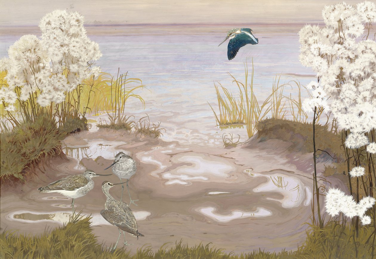 Fugl på Elbens mudderflader, 1910 (tempera på kort) af Friedrich Lissmann